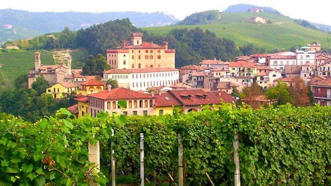 langhe rosa mosqueta foto