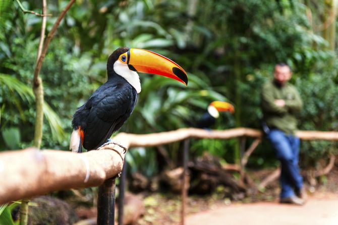 2. Parco Nazionale Iguazu
