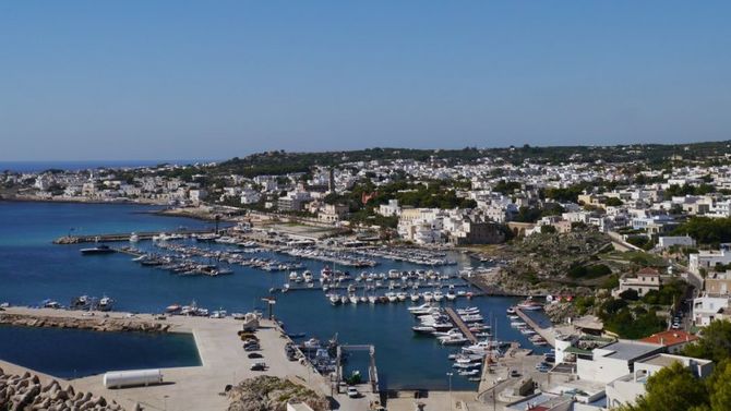 Giunco del Salento foto