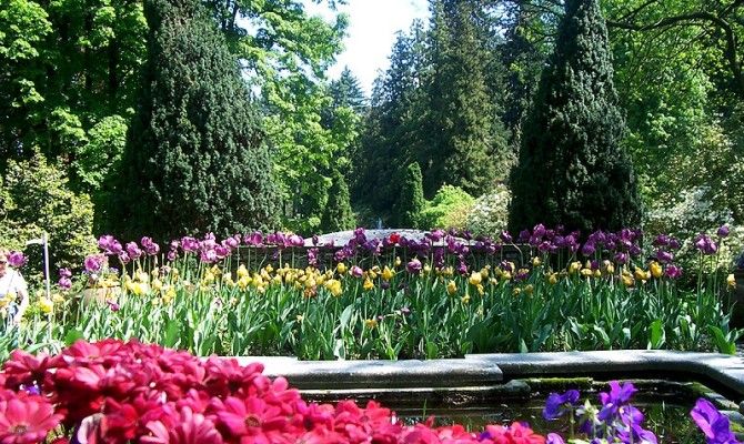 villa taranto piemonte natura fiori girini lago maggiore