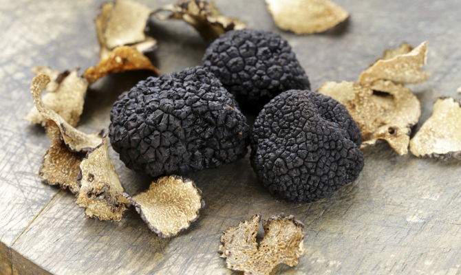 tartufo nero norcia fungo legno bosco 