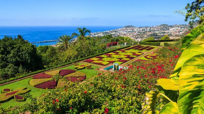 Funchal giardino tropicale