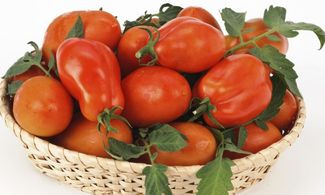 pomodori san marzano