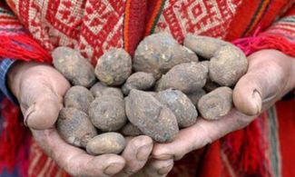 Il giro del mondo targato Slow Food