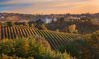 Paesaggio delle Langhe