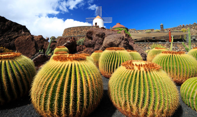 Lanzarote