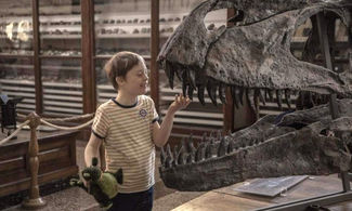 Mio fratello rincorre i dinosauri sulla via Emilia