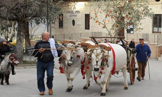 Giano dell'Umbria, Festa della Frasca