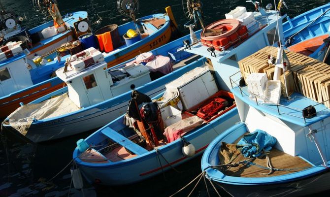 Barche da pesca