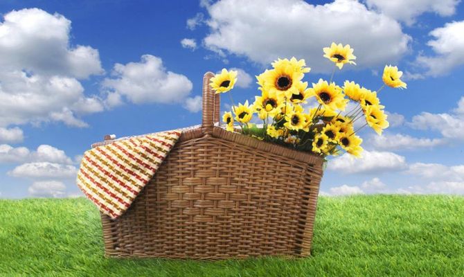 Nuvole cielo cestino con fiori