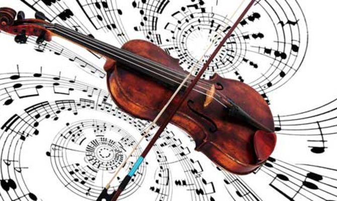 Violino