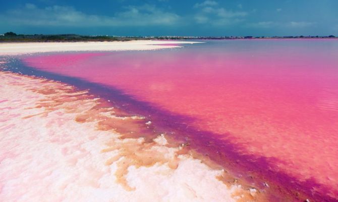 rosa, colore, spiaggia, acqua rosa, lago, mare 