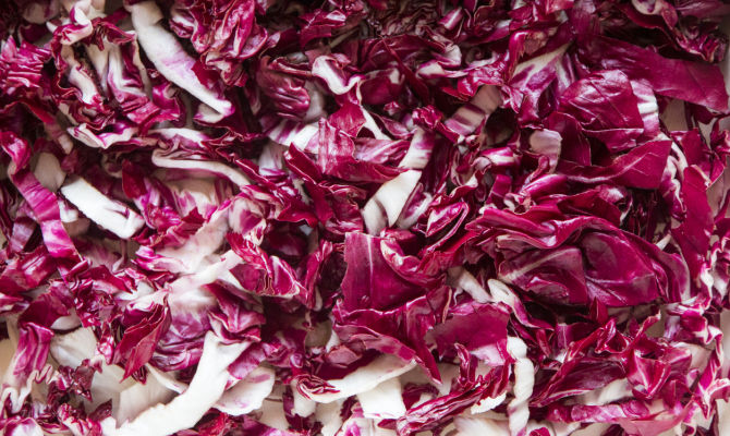 radicchio foglie insalata