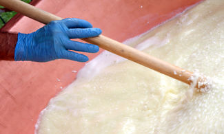 Il formaggio di Montefiore re delle colline romagnole