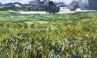 Casa ad Auvers<br>