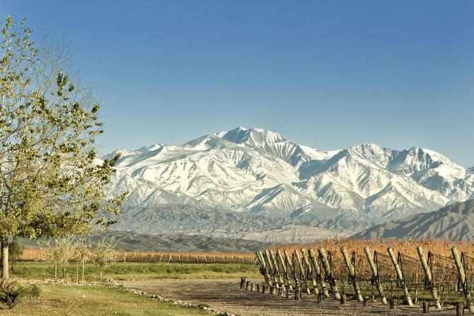 10 Trout &amp; Wine Tours, Cuyo, Argentina
