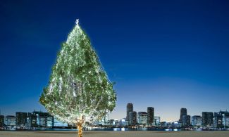 Albero di Natale a Tokyo