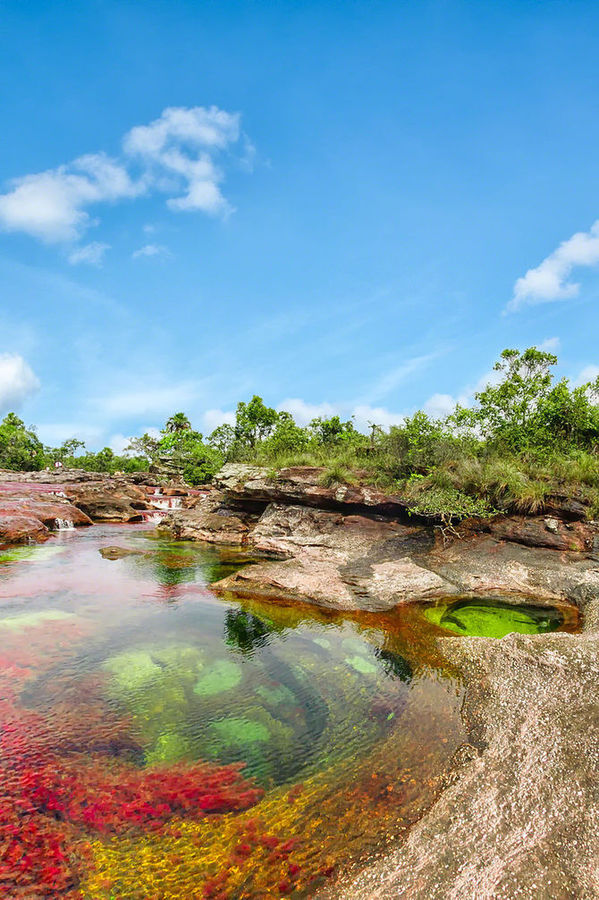 Cano Cristales