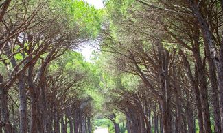 Roma verde, Villa Leopardi Dittajuti Casa delle Delizie