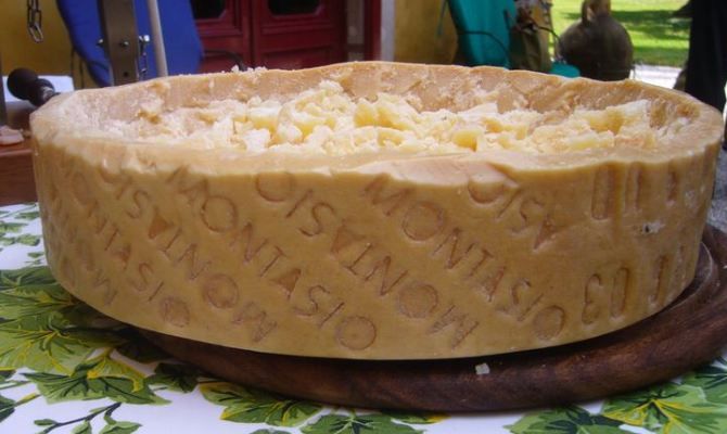 formaggio, montasio
