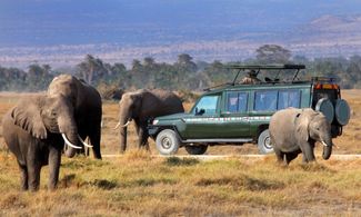 Tanzania: i safari più spettacolari