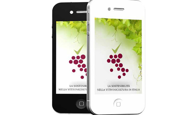 VIVA Sustainable Wine