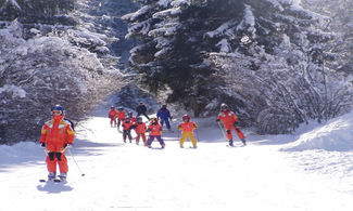 Piccoli viaggiatori crescono ... sulla neve