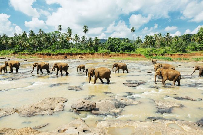 15 Sri Lanka