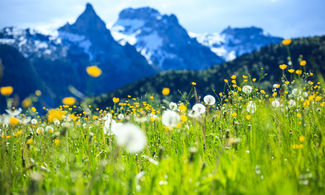 I Giardini del Gran Paradiso per escursioni romantiche