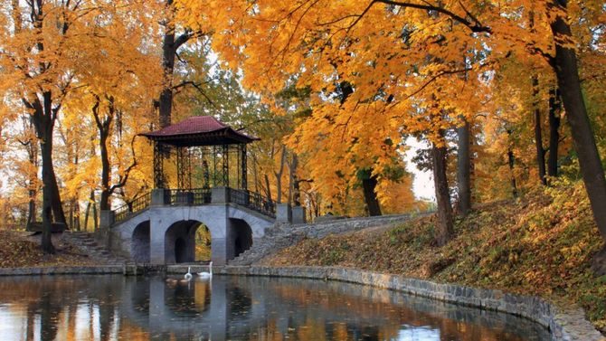 giardino giapponese in autunno