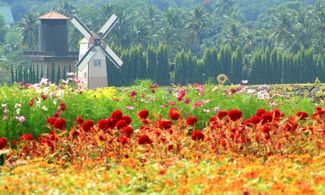 Primavera tra i giardini d'Europa