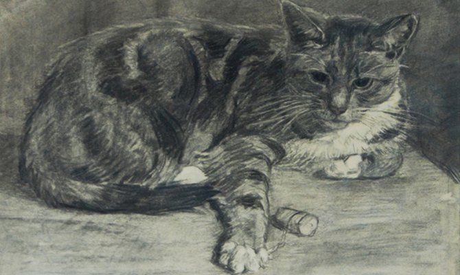 Museo dei Gatti. Dipinto di Henriette Ronner-Knip